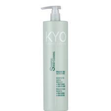 KYO DAILY CLEANSE Šampoon sagedaseks pesuks 1000 ml.