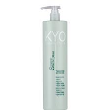 KYO DAILY CLEANSE Šampoon sagedaseks pesuks 500 ml.