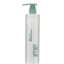 KYO DAILY MASK 500ml. Juuksemask pantenooli ja linaseemneõliga sagedaseks kasutamiseks.